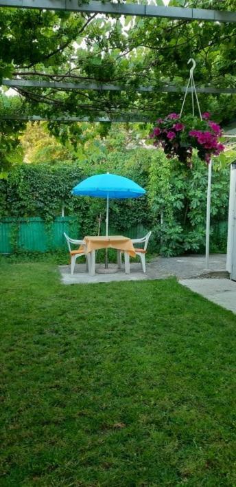 B&B La Culla Di Τεργέστη Εξωτερικό φωτογραφία